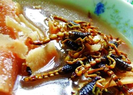 蝎子美食