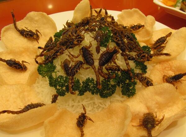 蝎子美食