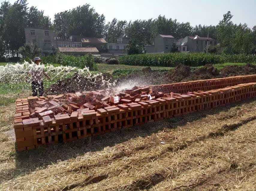 生态蝎子养殖基地