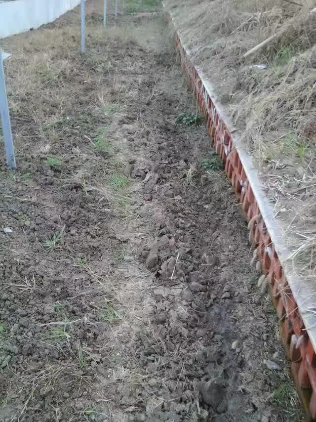 生态蝎子养殖基地