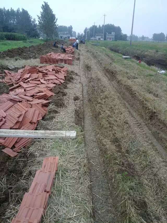 生态蝎子养殖基地
